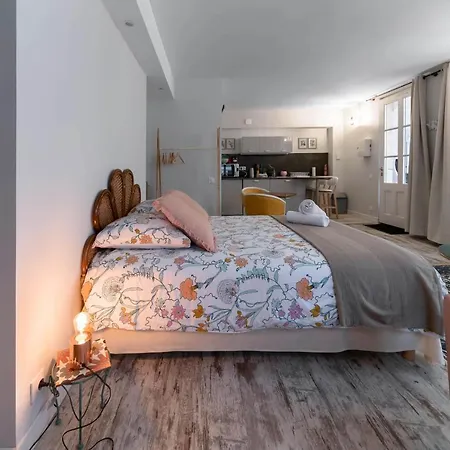 شقة Aristide Briand - Design Centre فيشي