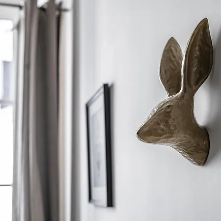 Aristide Briand - En Centre Appartement