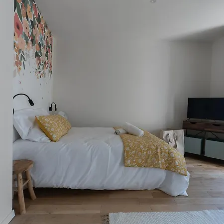 Aristide Briand - En Centre Appartement Vichy