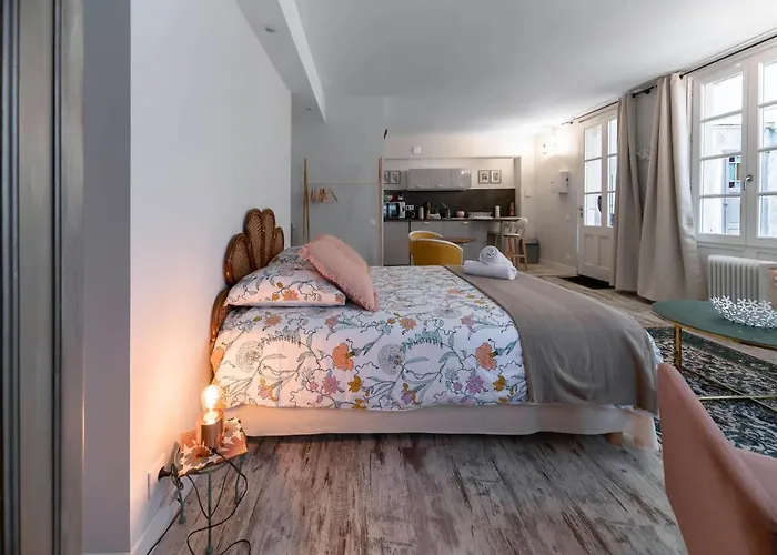 Apartment Aristide Briand - En Centre Vichy